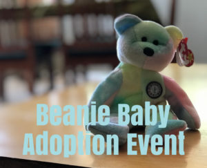 Private Party-Beanie Baby Adoption Party @ Sunshine School Oro Valley | Tucson | Arizona | United States